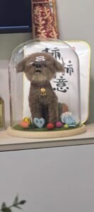 Custom Felted Pet Portrait | Handmade Pet Memorial Gift photo review