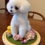 Custom Felted Pet Portrait | Handmade Pet Memorial Gift photo review