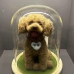 Custom Felted Pet Portrait | Handmade Pet Memorial Gift photo review