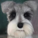 Custom Felted Pet Portrait | Handmade Pet Memorial Gift photo review