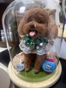 Custom Felted Pet Portrait | Handmade Pet Memorial Gift photo review