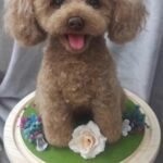 Custom Felted Pet Portrait | Handmade Pet Memorial Gift photo review