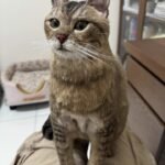 Custom Felted Pet Portrait | Handmade Pet Memorial Gift photo review