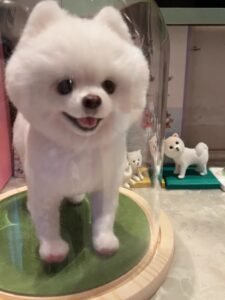 Custom Felted Pet Portrait | Handmade Pet Memorial Gift photo review