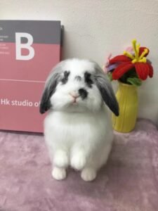 Custom Felted Pet Portrait | Handmade Pet Memorial Gift photo review