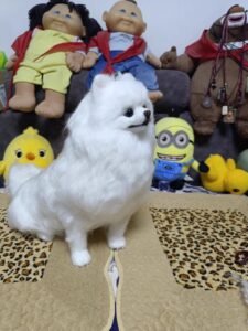 Custom Felted Pet Portrait | Handmade Pet Memorial Gift photo review