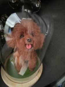 Custom Felted Pet Portrait | Handmade Pet Memorial Gift photo review