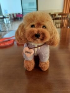 Custom Felted Pet Portrait | Handmade Pet Memorial Gift photo review