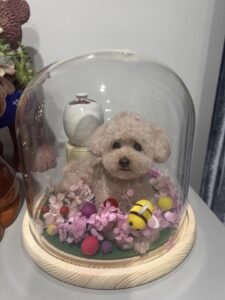 Custom Felted Pet Portrait | Handmade Pet Memorial Gift photo review