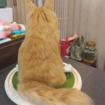 Custom Felted Pet Portrait | Handmade Pet Memorial Gift photo review